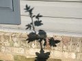 IMG_0019