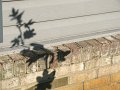 IMG_0020