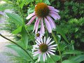 IMG_0025