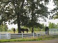 IMG_0036