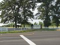 IMG_0037