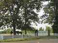 IMG_0038