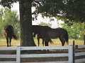 IMG_0039
